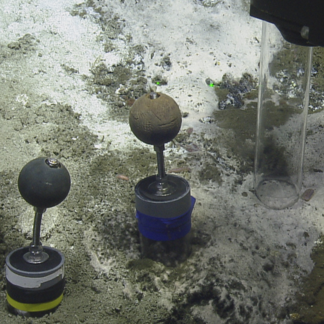 Sediment cores and microbial mats